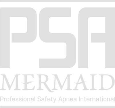 PSA 머메이드 — 그레이 워터마크 (문서용)